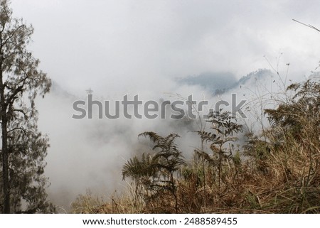 Gunung Semeru, located in East Java, Indonesia, is the highest volcano on the island of Java and one of the most iconic peaks in the Indonesian archipelago. 