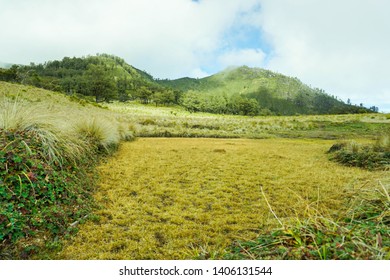 Gupakan Menjangan At Gunung Lawu