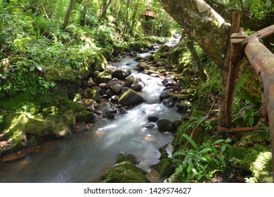 Gushing water river in green forest Mauritius Island - Shutterstock ID 1429574627