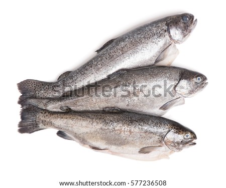 Gutted trout fishes isolated on white background