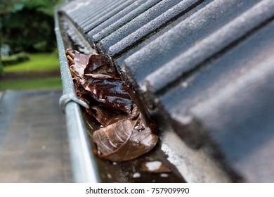 Gutter blocked by leaves
