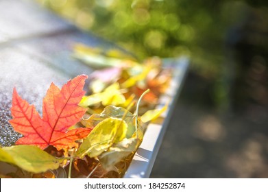 Gutter Full Of Fall Leaves