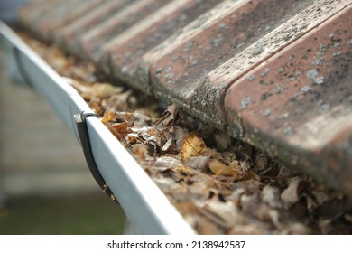 Gutter full of old autumn leaves and dirt.
