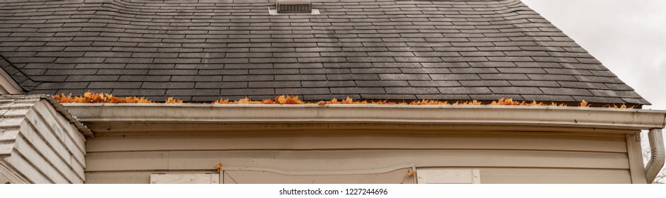 gutters are full of leaves and must be cleaned