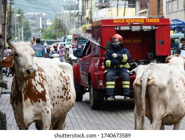 Guwahati, Assam, India. 25 May 2020. A Fire Fighter Spray Disinfectant At Fancy Bazar Area, During The Ongoing COVID-19 Nationwide Lockdown, In Guwahati.