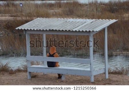 Similar – Image, Stock Photo Little girl jumping on a path of wooden boards in a wetland