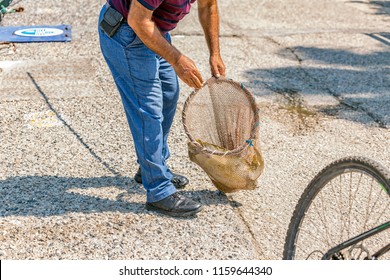 The Guy Gets Caught Up To Clean The Mussels Above The Tortoise Shell.