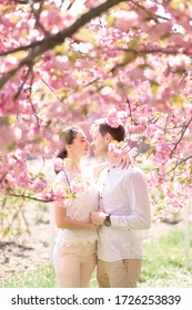 桜 女の子 High Res Stock Images Shutterstock