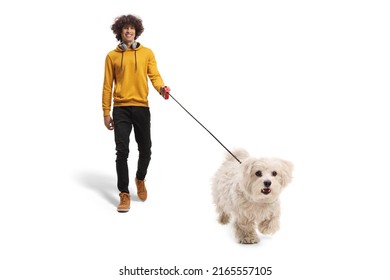 Guy With Headphones Walking A Maltese Poodle Dog On A Lead Isolated On White Background