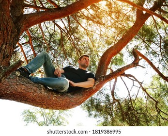 The guy looks around while sitting on a tree in the summer forest. Activities and rest.