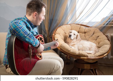 guy playing a guitar on the couch, in the chair sits a dog, a golden retriever - Powered by Shutterstock