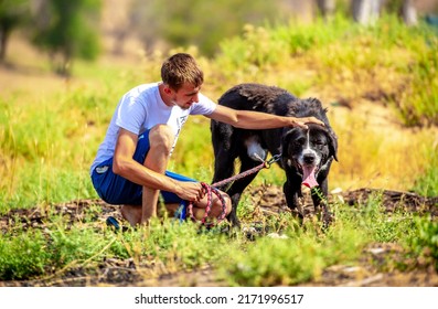 The Guy Walks The Dog On The Lawn In The Park. A Man Plays With A Pet On The Street. An Animal Welfare Volunteer Takes Care Of Homeless Animals At A Shelter. Kazakhstan, Almaty - June 20, 2022