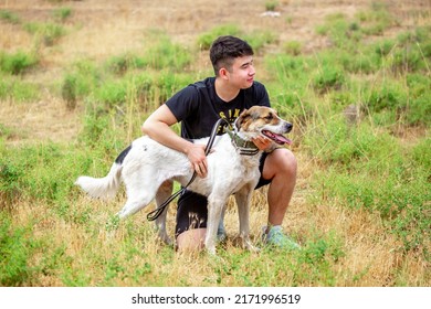 The Guy Walks The Dog On The Lawn In The Park. A Man Plays With A Pet On The Street. An Animal Welfare Volunteer Takes Care Of Homeless Animals At A Shelter. Kazakhstan, Almaty - June 20, 2022