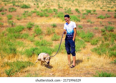 The Guy Walks The Dog On The Lawn In The Park. A Man Plays With A Pet On The Street. An Animal Welfare Volunteer Takes Care Of Homeless Animals At A Shelter. Kazakhstan, Almaty - June 20, 2022