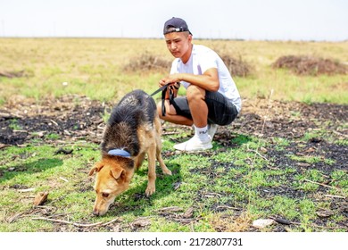 The Guy Walks The Dog On The Lawn In The Park. A Man Plays With A Pet On The Street. An Animal Welfare Volunteer Takes Care Of Homeless Animals At A Shelter. Kazakhstan, Almaty - June 20, 2022