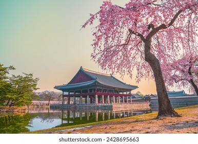 Gyeongbokgung Palace and cherry blossoms in spring. Seoul South Korea.Sign 