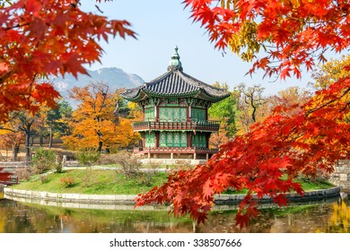 Gyeongbukgung Maple Tree Autumn Korea Stock Photo 338507666 | Shutterstock