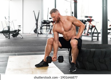 Gym Athlete Bicep Exercise Dumbbell Muscular Man Sit Wheel Holding Lift Barbell. Functional Cross Training Indoor. Handsome Caucasian Bearded Guy Do Workout With Dumbbell.