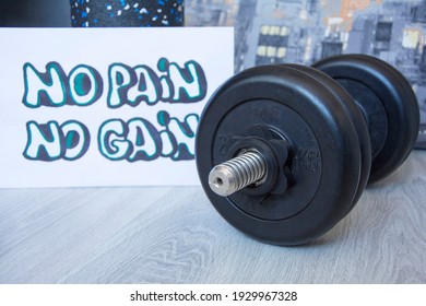 Gym dumbbell, kettlebell with motivational poster Train hard for active workouts at home. Home workouts, healthy lifestyle - Powered by Shutterstock