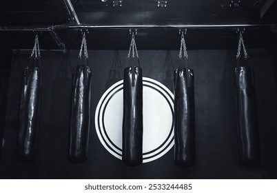 Gym, equipment or punching bag on rack for fitness, muscle development or sports membership. Health, wellness and row of mma fight training tools for growth, exercise challenge or competition at club - Powered by Shutterstock