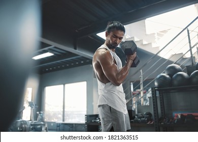 251,409 Biceps Training Images, Stock Photos & Vectors | Shutterstock