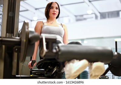 Gym Seated Leg Curl Machine Exercise Woman In The Gym