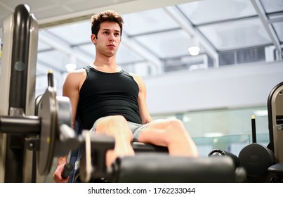 Gym Seated Leg Curl Machine Exercise Man In The Gym