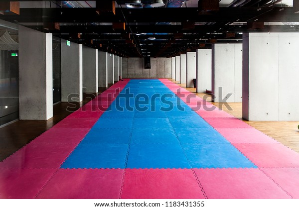 Gymnasium Martial Arts Training Tatami Mat Stock Photo Edit Now