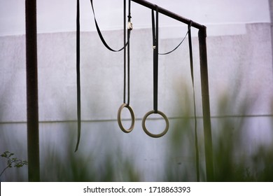 Gymnastics rings outside for a calisthenics workout during covid-19 - Powered by Shutterstock