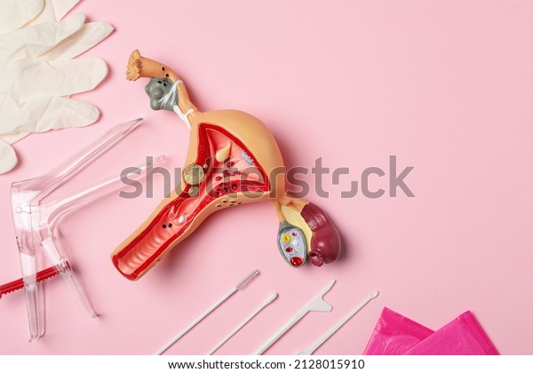 Gynecological examination kit\
and anatomical uterus model on pink background, flat lay. Space for\
text