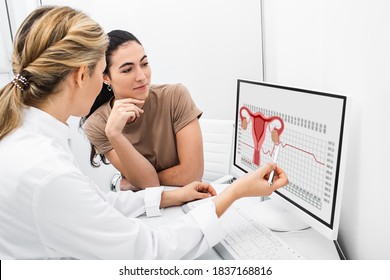 gynecologist communicates with her patient, indicating the menstrual cycle on the monitor. The reproductive specialist calculated the period of ovulation for the patient - Shutterstock ID 1837168816