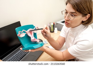 Gynecologist consults the patient using a model of the female  reproductive system in her hands.Women's health, pregnancy planning,pathology of internal organs,medical concept. - Shutterstock ID 2113263560