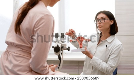 A gynecologist explains female diseases to a patient using a plastic model of the uterus and ovaries in a modern gynecological clinic. Prevention, preparation for medical examination, pregnancy.