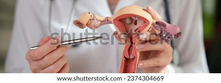 Gynecologist in lab coat points pen to realistic model of uterus and ovaries. Woman demonstrates structure of female reproductive organs conducting lesson