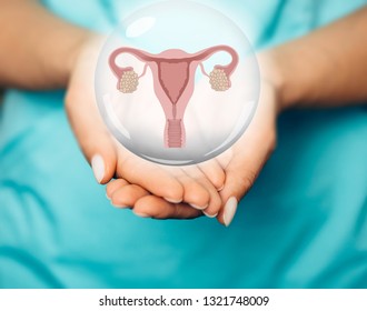 gynecologist showing a virtual uterus and ovaries model. Women Health. Female reproductive system