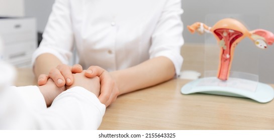 Gynecologist woman hold hand of young female patient during medical consultation in modern clinic. Model reproductive system. - Shutterstock ID 2155643325