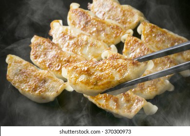 Gyoza