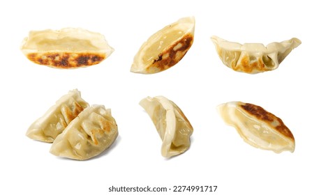 Gyoza Chinese Dumplings Isolated, Fried Vegetable Jiaozi, Chicken Momo Set, Asian Gyoza Collection on White Background with Clipping Path