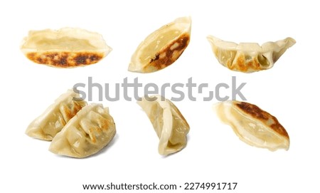 Gyoza Chinese Dumplings Isolated, Fried Vegetable Jiaozi, Chicken Momo Set, Asian Gyoza Collection on White Background with Clipping Path