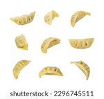 Gyoza Chinese Dumplings Isolated, Vegetable Jiaozi, Chicken Momo Set, Asian Gyoza Collection on White Background with Clipping Path