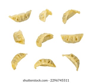 Gyoza Chinese Dumplings Isolated, Vegetable Jiaozi, Chicken Momo Set, Asian Gyoza Collection on White Background with Clipping Path