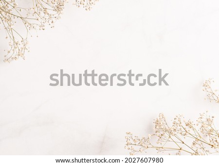 Gypsophila (baby breath flower) background. Frame for text made of dried white wedding flowers. Copy space. Pastel colors. Top view. Flat layout template. Card design.