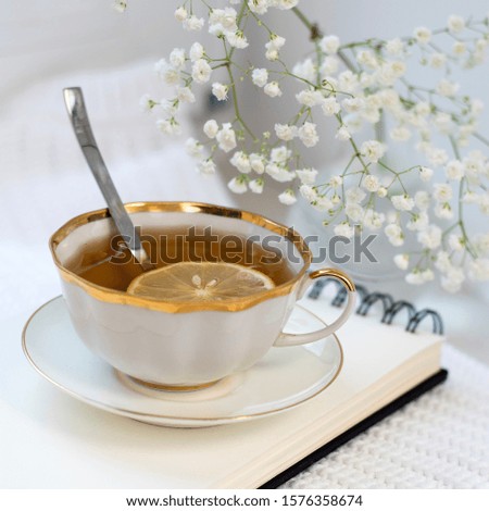 Similar – Still life with cup of tea at the window