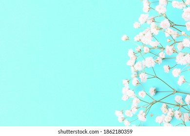 Gypsophila flowers on light blue pastel background. Spring concept. Flowers composition. Flat lay, top view, copy space.