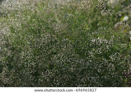 Similar – Foto Bild Blick durchs Fenster nach dem Regen