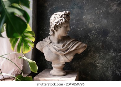 Gypsum statue of a bust of God Apollo on a gray textured background by the window light. Large green leaves of monstera deliciosa flower. Ancient Greek god of Sun and Poetry sculpture. Copy space