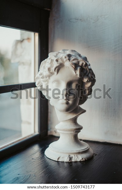 Gypsum White Head Antique Human Learning The Arts Objects Stock