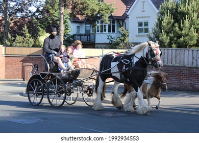 Gypsy Travellers Trotting Horse Trap: Family With Horse And Pony Trap Traveling Along A Main Road: Ethnic Minority Concept: Ainsdale, UK 18-06-2021