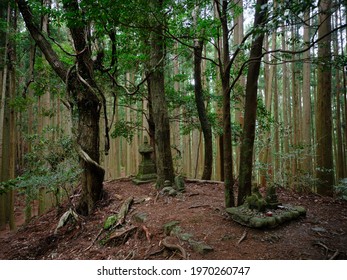 Gyubadouji In Kumano Kodo Japan