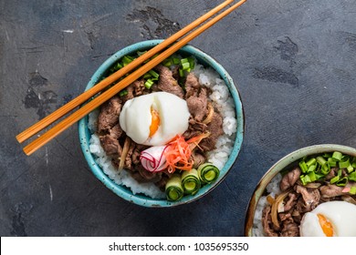 Gyudon Japanese Rice Beef Bowl On Stock Photo 1035695350 | Shutterstock